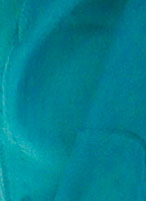 D80SZ1-9_1.jpg