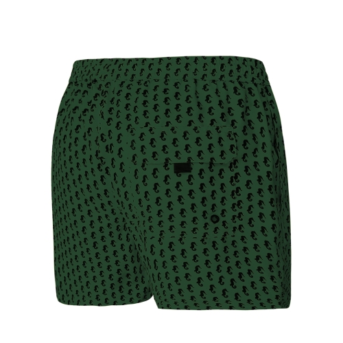 SM29-33-new-pop-col-zielone-konik.jpg