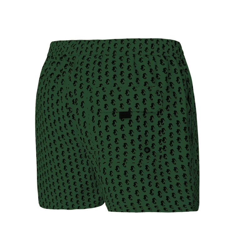SM29-33-new-pop-col-zielone-konik.jpg