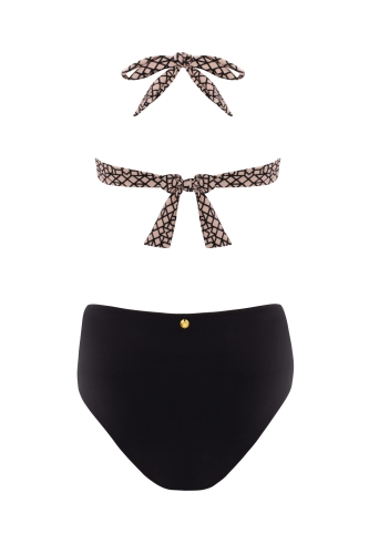 S556LX3-kol 1-MG_3938.jpg