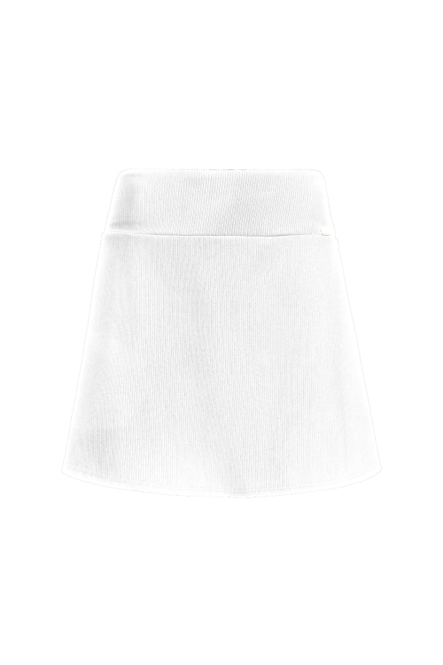 Skirt-1.jpg