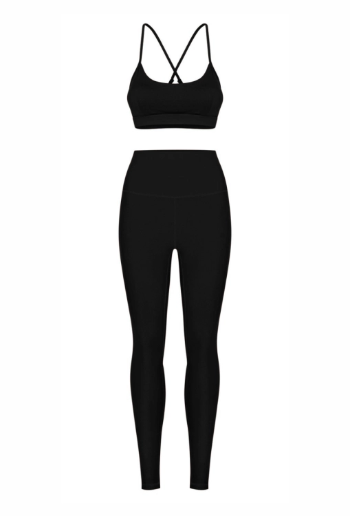 new collection(87).png